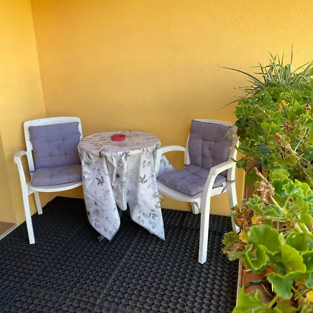 Welcome Traveller Divine Cecile