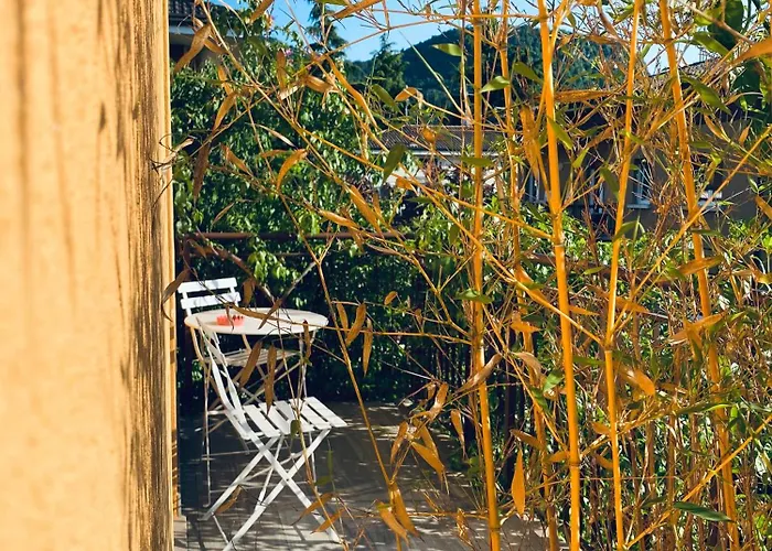 Welcome Traveller Divine Cecile 加尔达