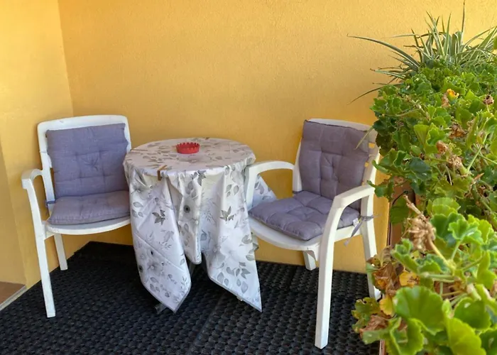 Welcome Traveller Divine Cecile