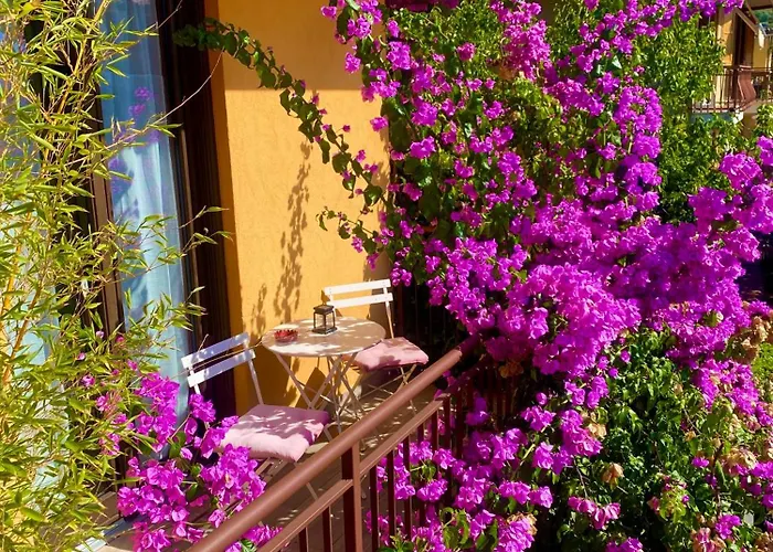 Welcome Traveller Divine Cecile