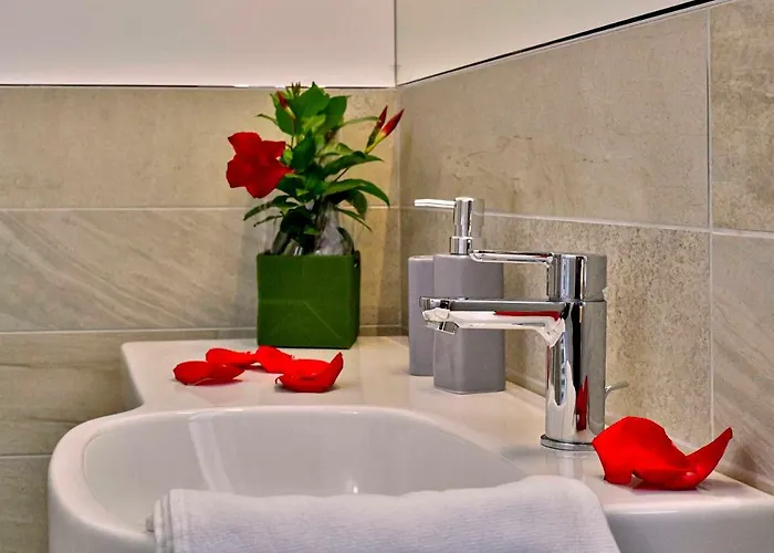 Welcome Traveller Divine Cecile 招待所