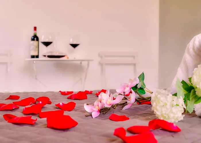 Welcome Traveller Divine Cecile 招待所