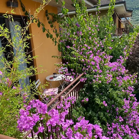 Welcome Traveller Divine Cecile 4*