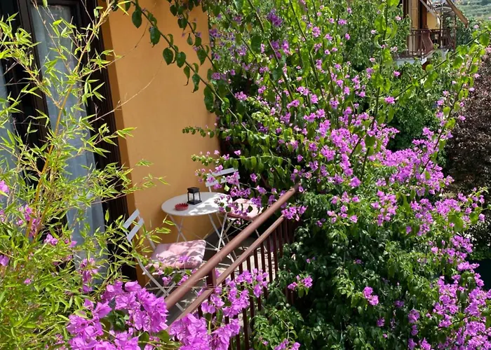 Welcome Traveller Divine Cecile 4*