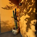 Welcome Traveller Divine Cecile 4* Garda (Verona)