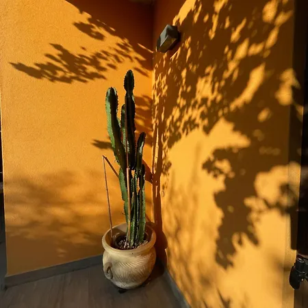 Welcome Traveller Divine Cecile 4* Garda (Verona)